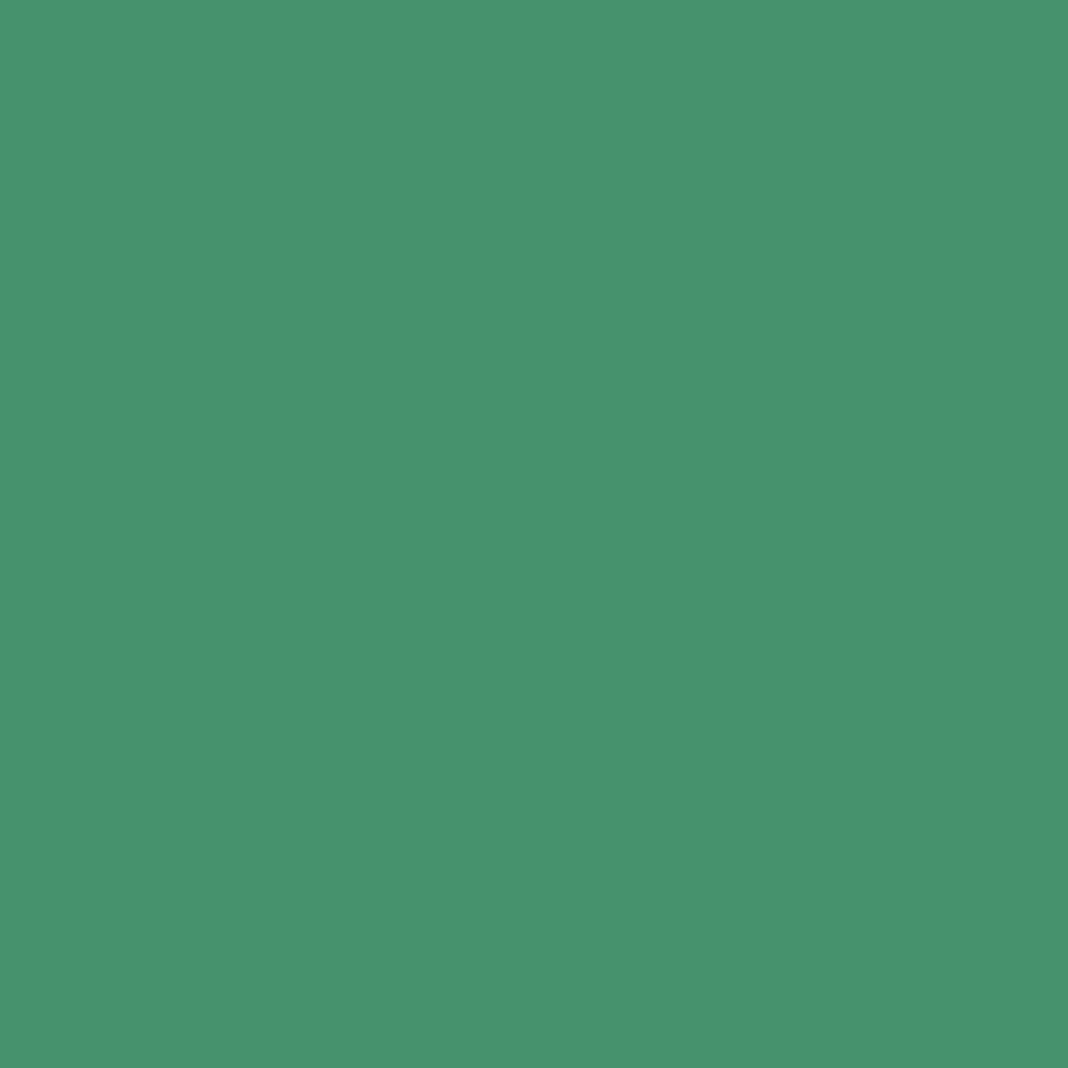 Luck of the Irish 588 Benjamin Moore paint colour at Colour Land