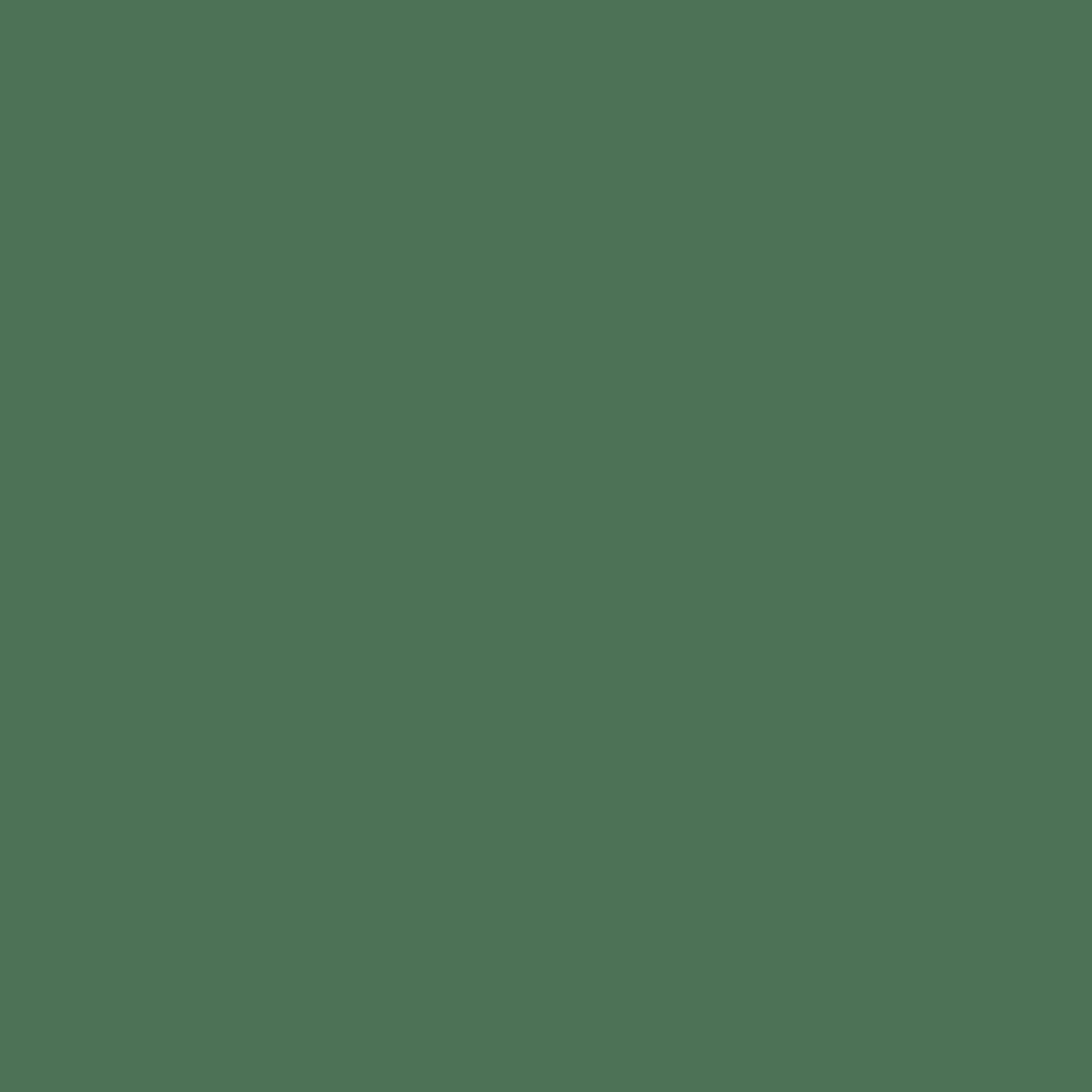 Balsam 567 Benjamin Moore paint colour at Colour Land