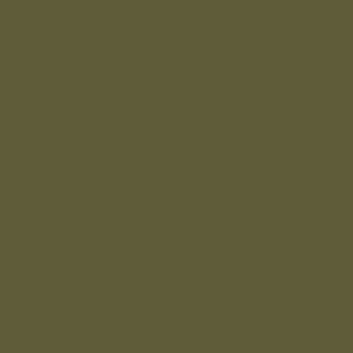 Palmer Green CW-475 Benjamin Moore paint colour at Colour Land
