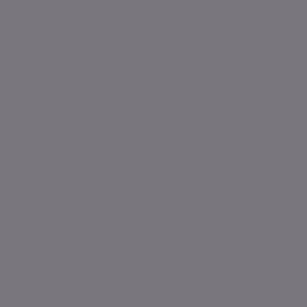 Tempest AF-590 Benjamin Moore paint colour at Colour Land