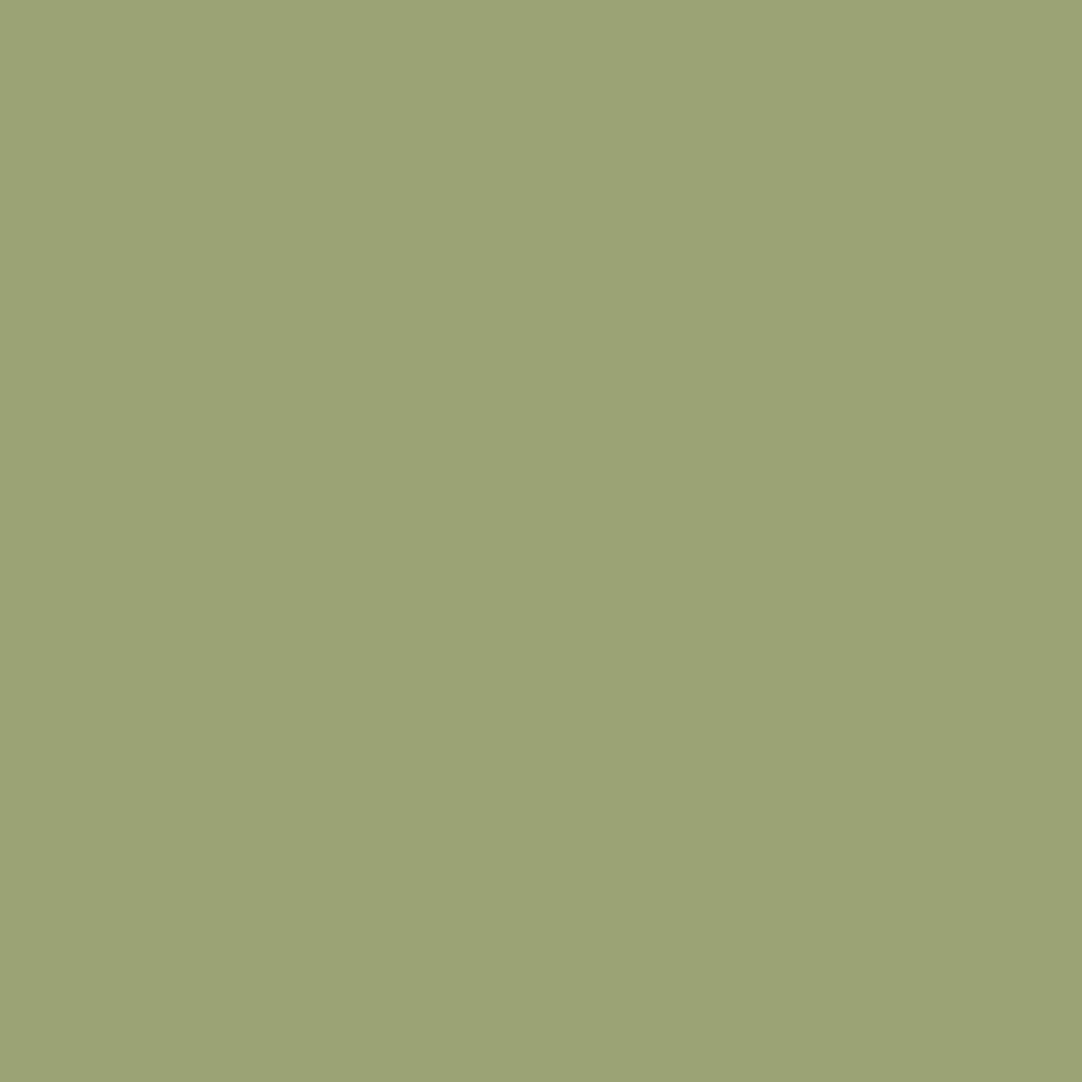 Barefoot in the Grass CSP-840 Benjamin Moore paint colour at Colour Land