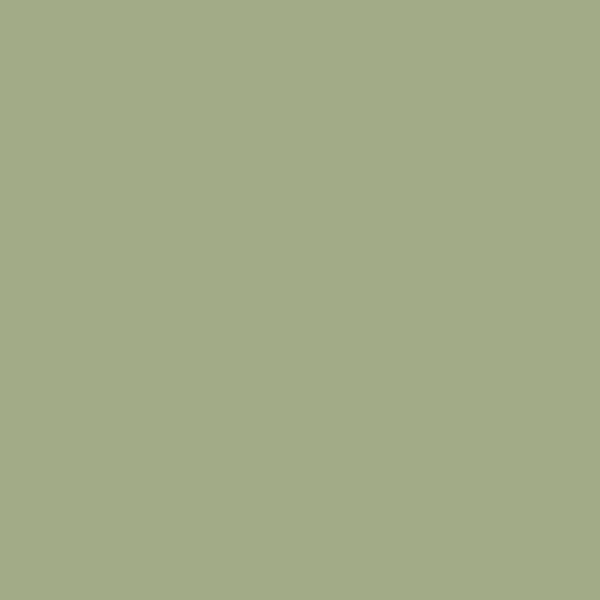 Russell Green CW-495 Benjamin Moore paint colour at Colour Land