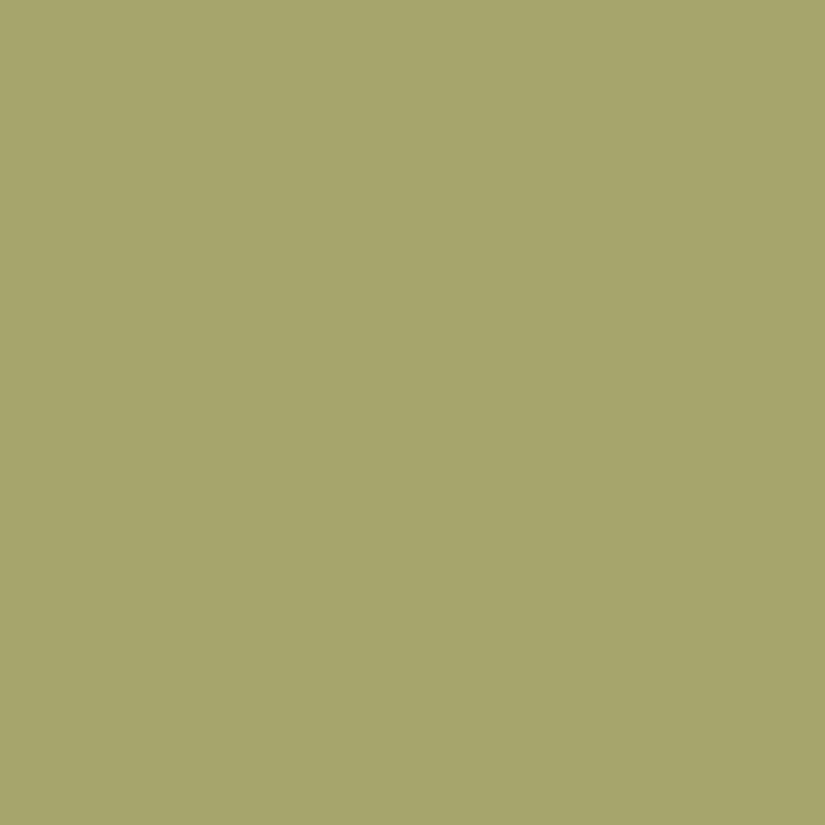 Greenhow Moss CW-450 Benjamin Moore paint colour at Colour Land