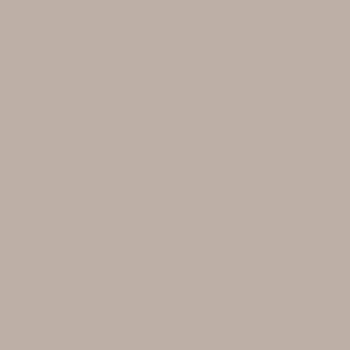 Sandlot Gray 2107-50 Benjamin Moore paint colour at Colour Land