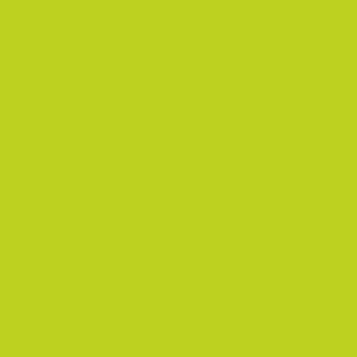 Snow Cone Green 2026-30 Benjamin Moore paint colour at Colour Land