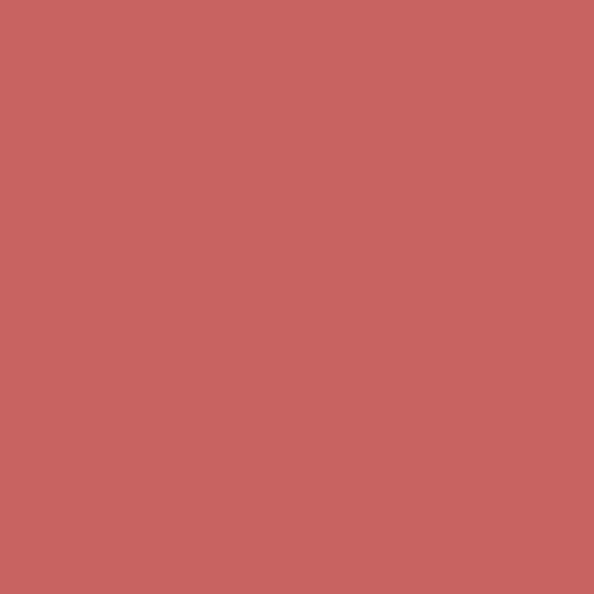 Bubble Tea CSP-1180 Benjamin Moore paint colour at Colour Land