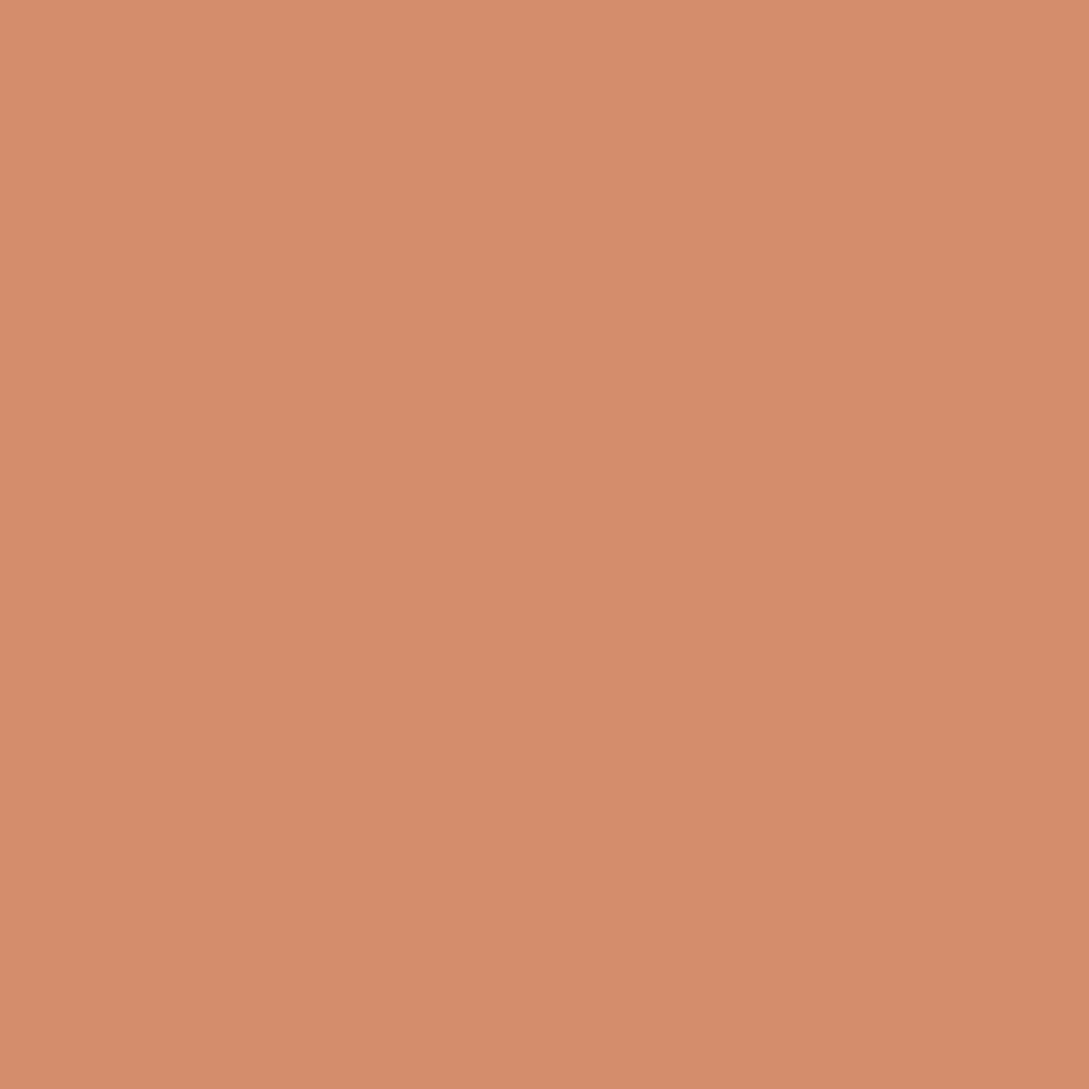 Adobe Dust 2175-40 Benjamin Moore paint colour at Colour Land