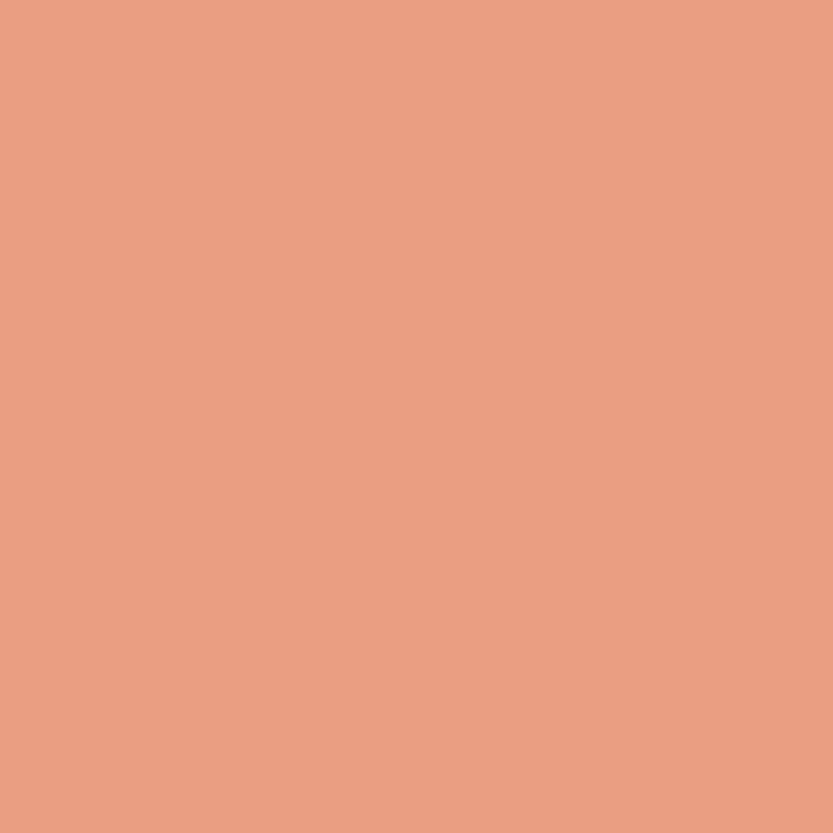 Coral Spice 2170-40 Benjamin Moore paint colour at Colour Land