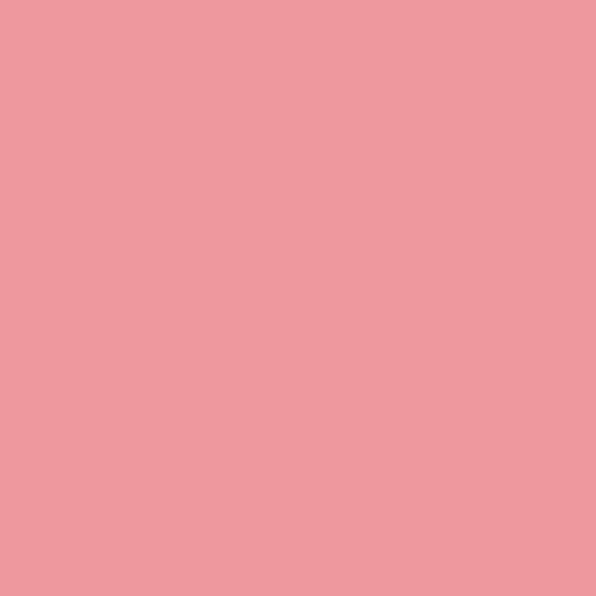 Heartbeat 1319 Benjamin Moore paint colour at Colour Land