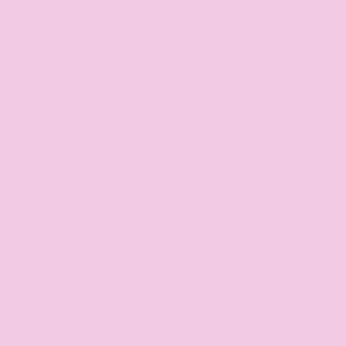Dog's Ear 2076-60 Benjamin Moore paint colour at Colour Land