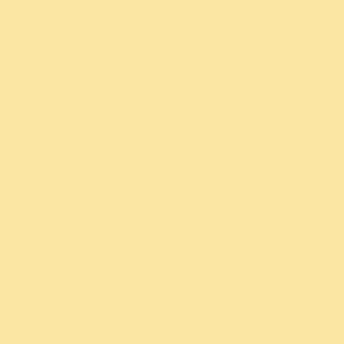 Squish-Squash 311 Benjamin Moore paint colour at Colour Land