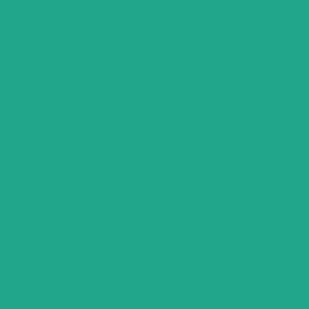 Albuquerque Teal 607 Benjamin Moore paint colour at Colour Land