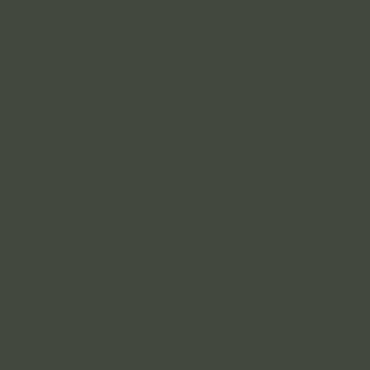 Topsoil CC-692 Benjamin Moore paint colour at Colour Land