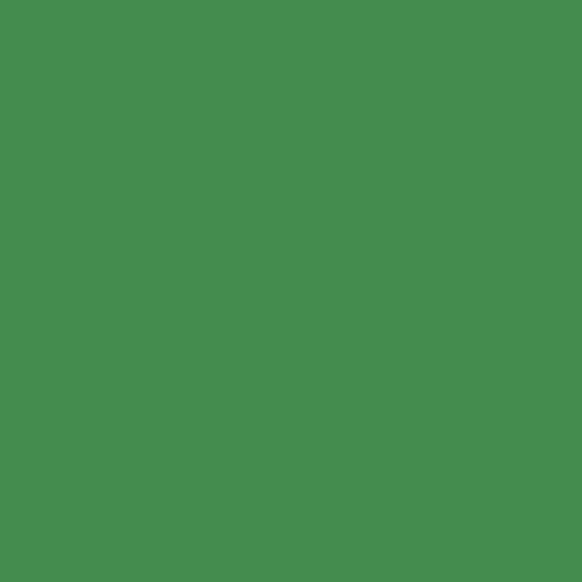 Grassy Fields 2034-30 Benjamin Moore paint colour at Colour Land