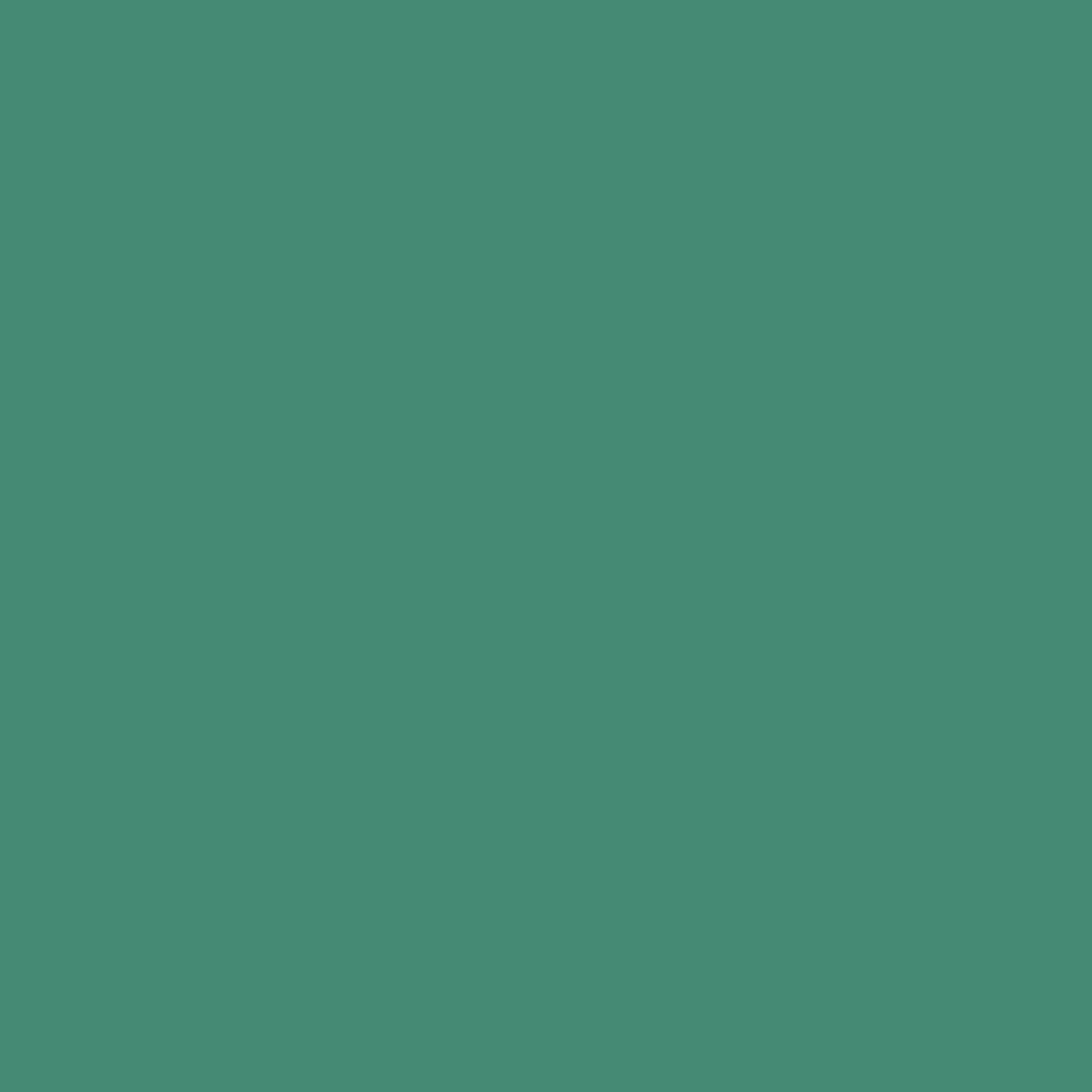 Juniper Green 601 Benjamin Moore paint colour at Colour Land