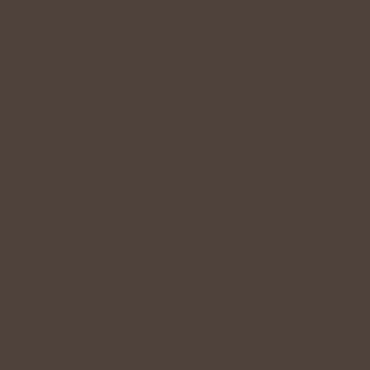 Oxford Brown ES-67 Benjamin Moore paint colour at Colour Land