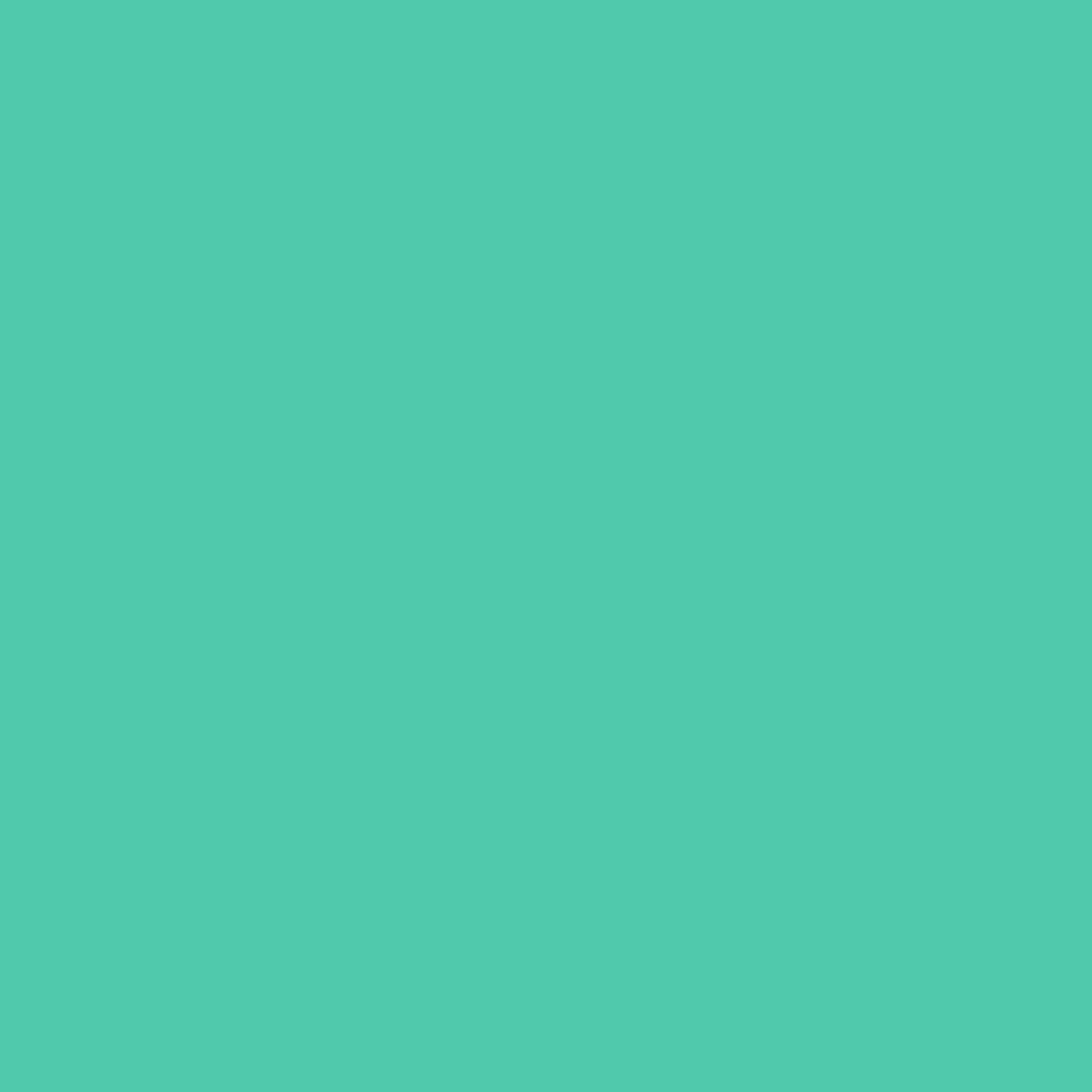St. Patty's Day 614 Benjamin Moore paint colour at Colour Land