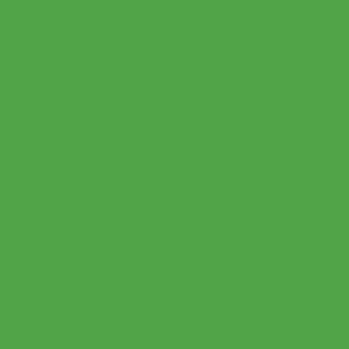 Sullivan Green 560 Benjamin Moore paint colour at Colour Land