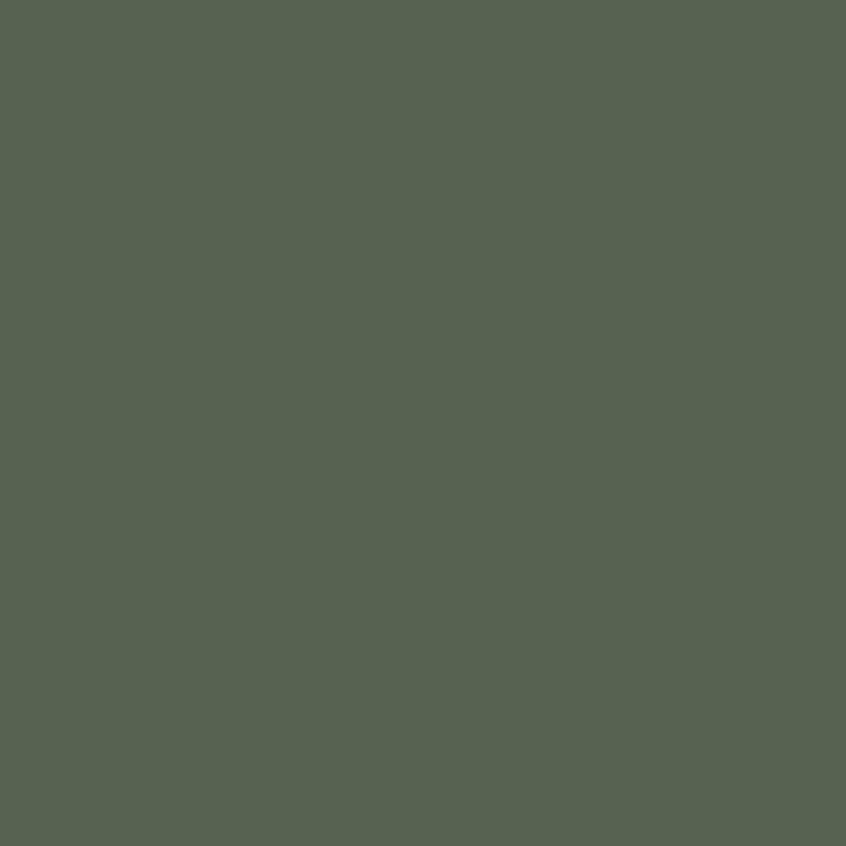 Backwoods CC-630 Benjamin Moore paint colour at Colour Land