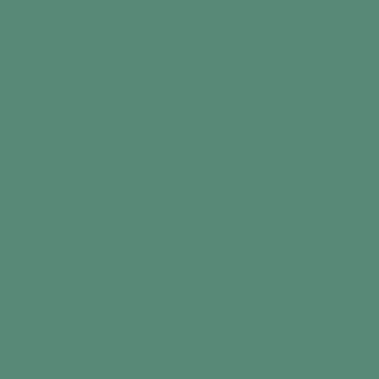 Palm Trees 642 Benjamin Moore paint colour at Colour Land