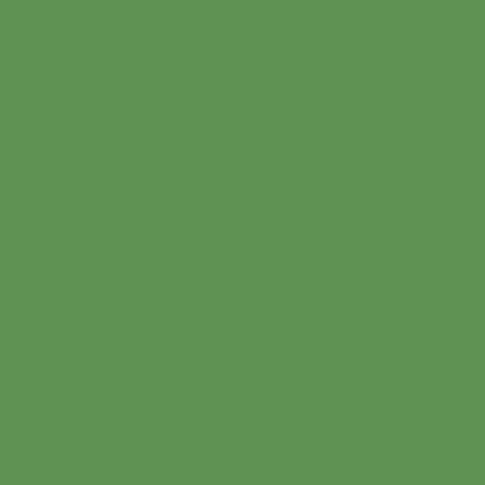 Richmond Green 553 Benjamin Moore paint colour at Colour Land