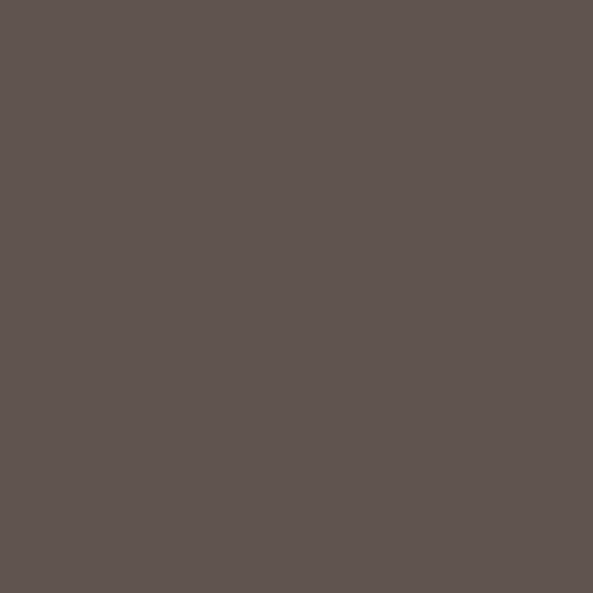 Topeka Taupe 1463 Benjamin Moore paint colour at Colour Land