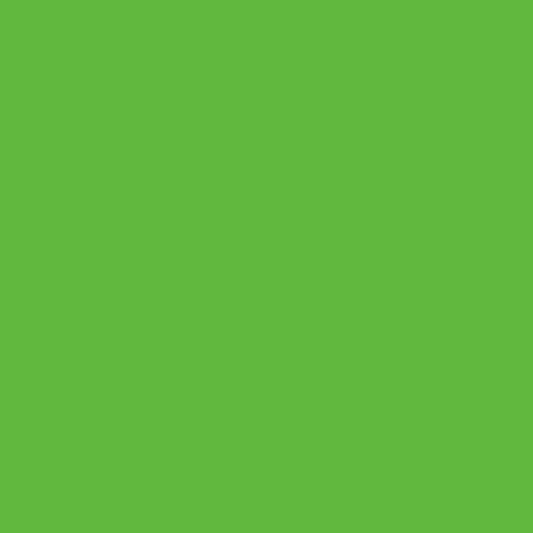 Lucky Charm Green 2030-30 Benjamin Moore paint colour at Colour Land