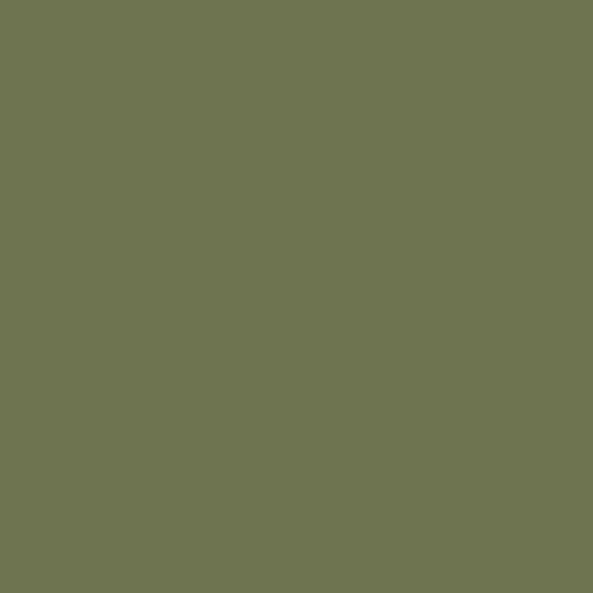 Pine Brook 490 Benjamin Moore paint colour at Colour Land