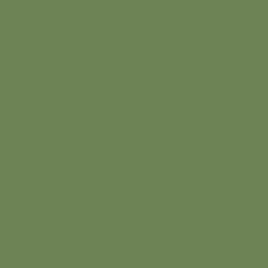 Courtyard Green 546 Benjamin Moore paint colour at Colour Land