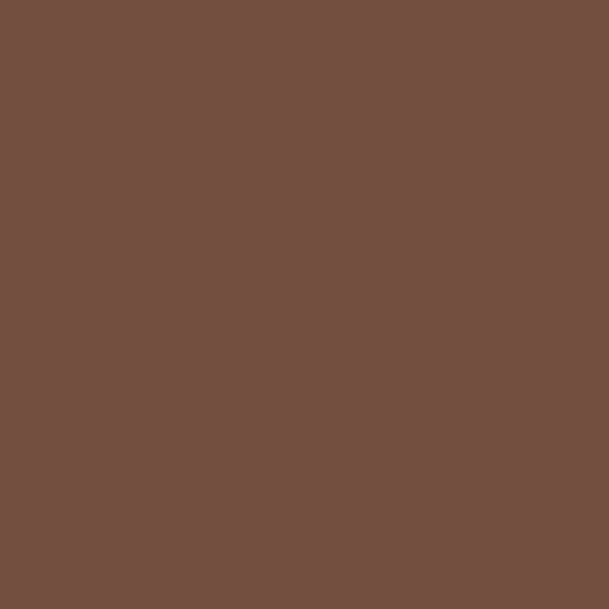 Root Beer Candy 2105-20 Benjamin Moore paint colour at Colour Land