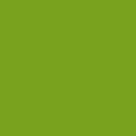 Iguana Green 2028-10 Benjamin Moore paint colour at Colour Land