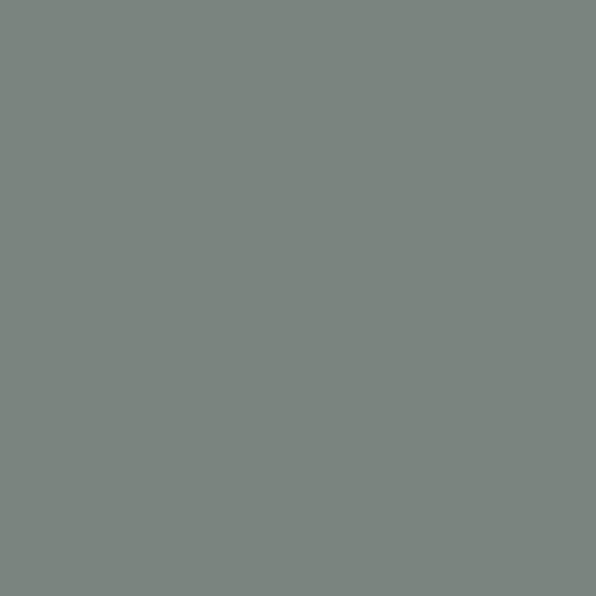 Night Train CC-720 Benjamin Moore paint colour at Colour Land