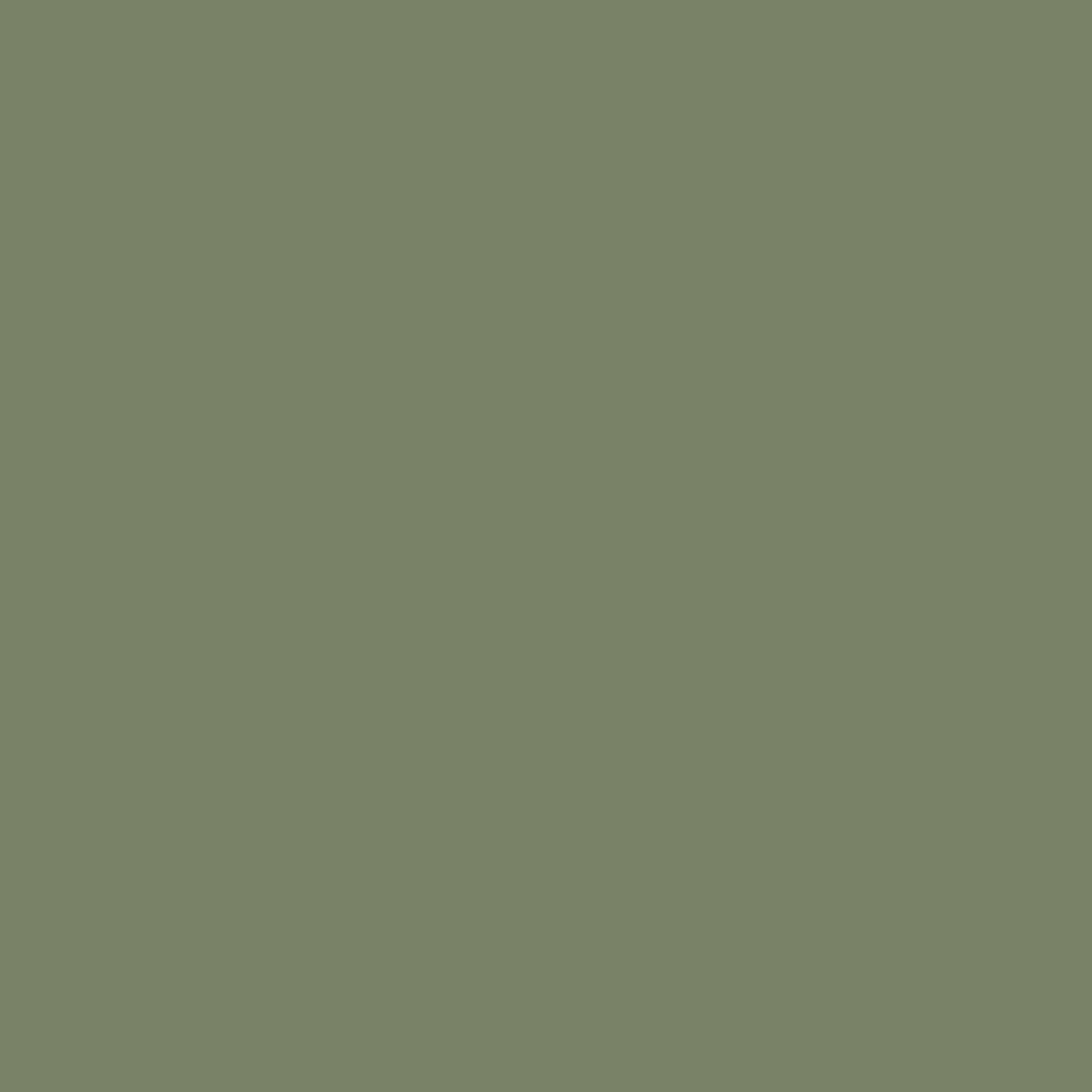 Mossy Oak CC-600 Benjamin Moore paint colour at Colour Land