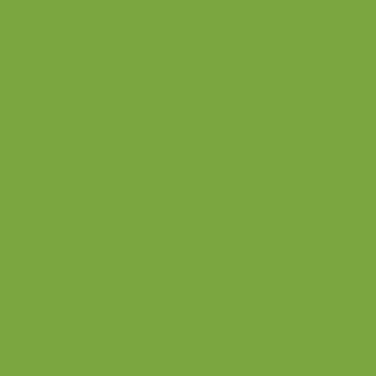 Rosemary Green 2029-30 Benjamin Moore paint colour at Colour Land