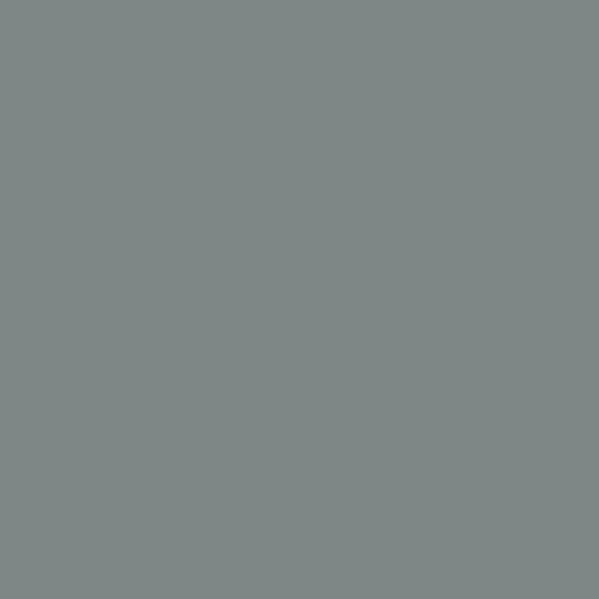Georgetown Gray ES-77 Benjamin Moore paint colour at Colour Land