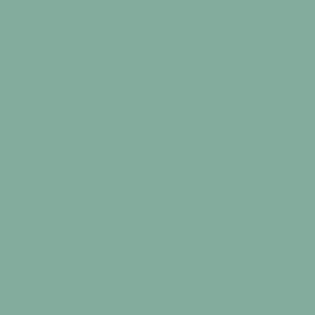 Everglades 641 Benjamin Moore paint colour at Colour Land