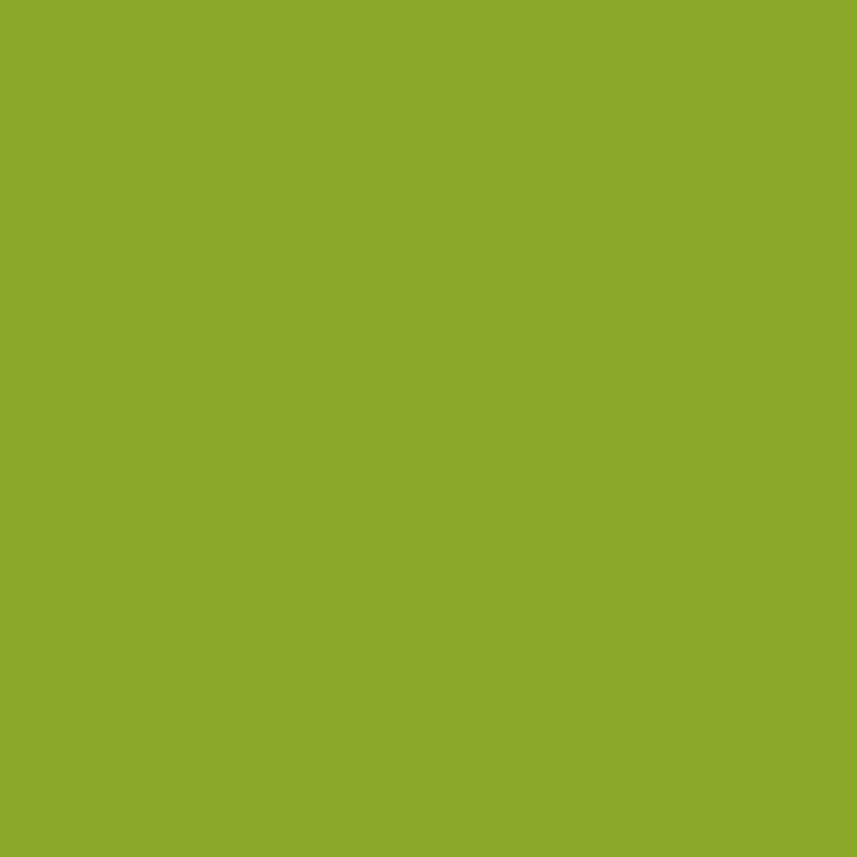 Douglas Fir 2028-20 Benjamin Moore paint colour at Colour Land