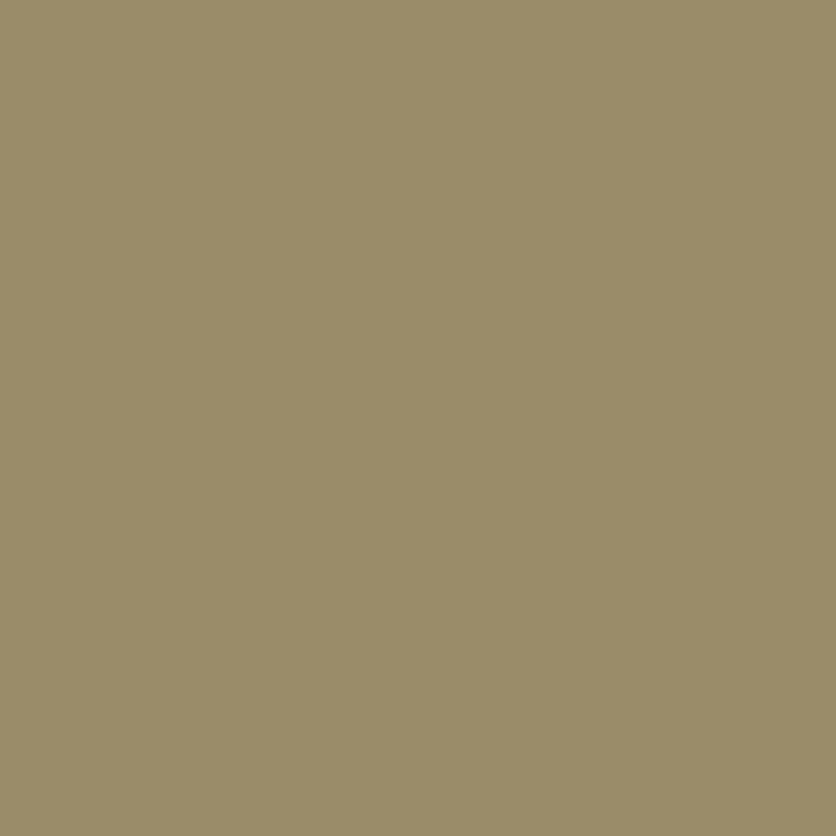 Ivy League 516 Benjamin Moore paint colour at Colour Land