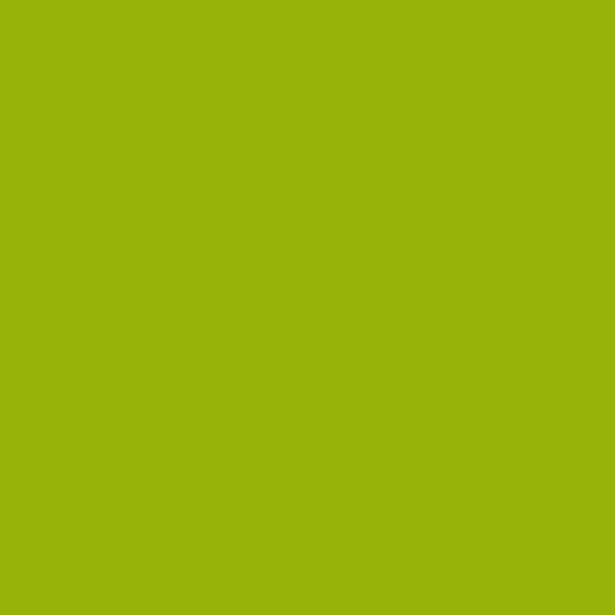 Dark Lime 2027-10 Benjamin Moore paint colour at Colour Land