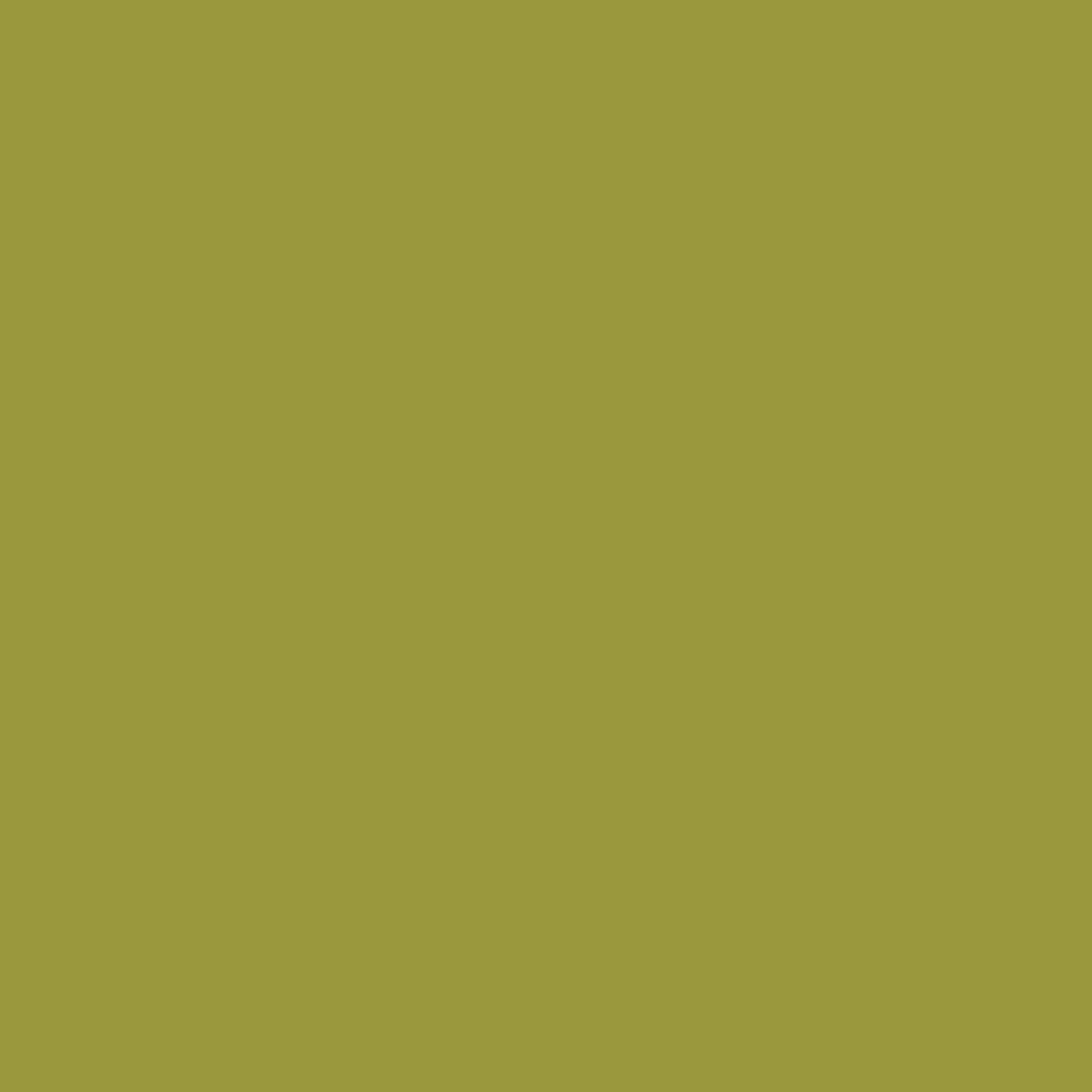 Forest Moss 2146-20 Benjamin Moore paint colour at Colour Land