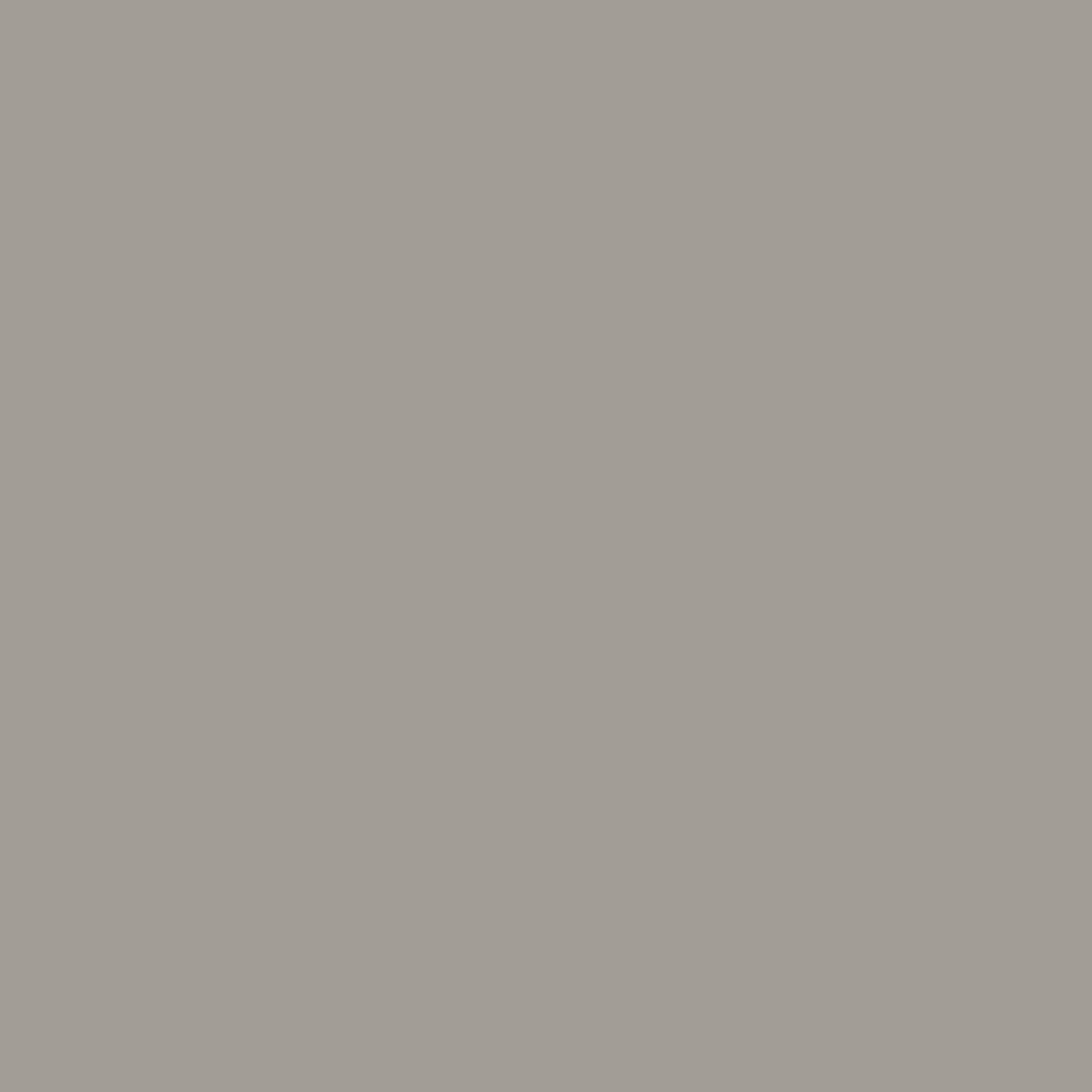 Escarpment CC-518 Benjamin Moore paint colour at Colour Land