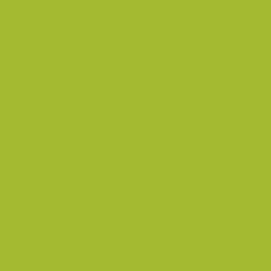 Tequila Lime 2028-30 Benjamin Moore paint colour at Colour Land