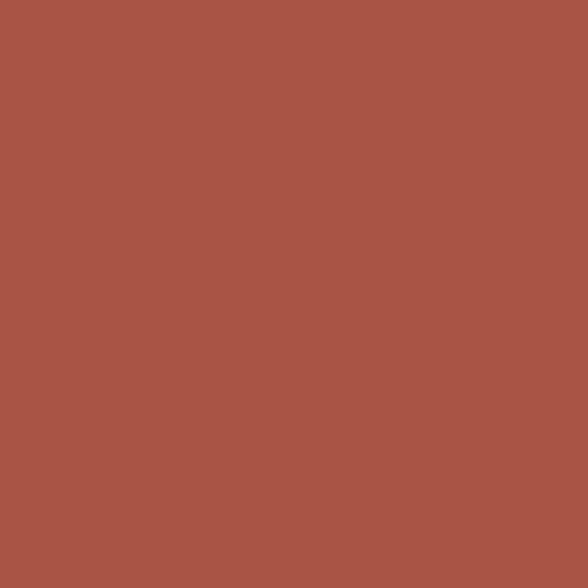 Iron Ore Red 2089-10 Benjamin Moore paint colour at Colour Land