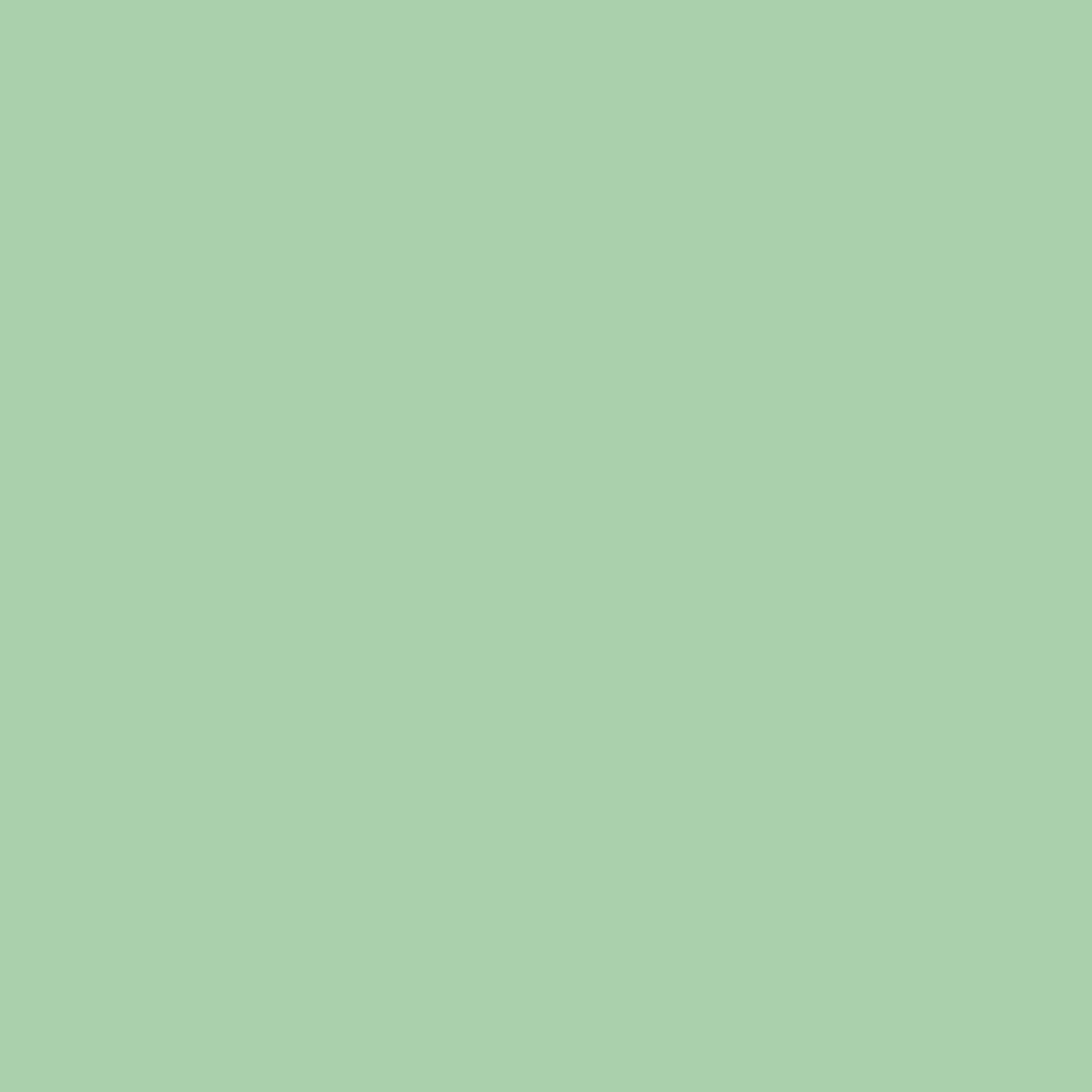 Douglas Fern 563 Benjamin Moore paint colour at Colour Land