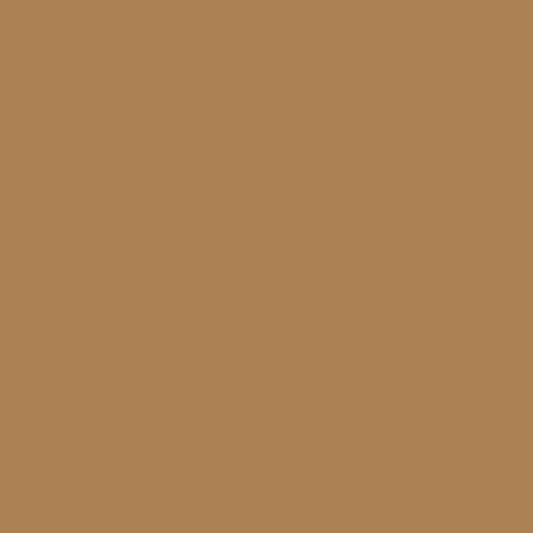 Gladstone Tan 1106 Benjamin Moore paint colour at Colour Land