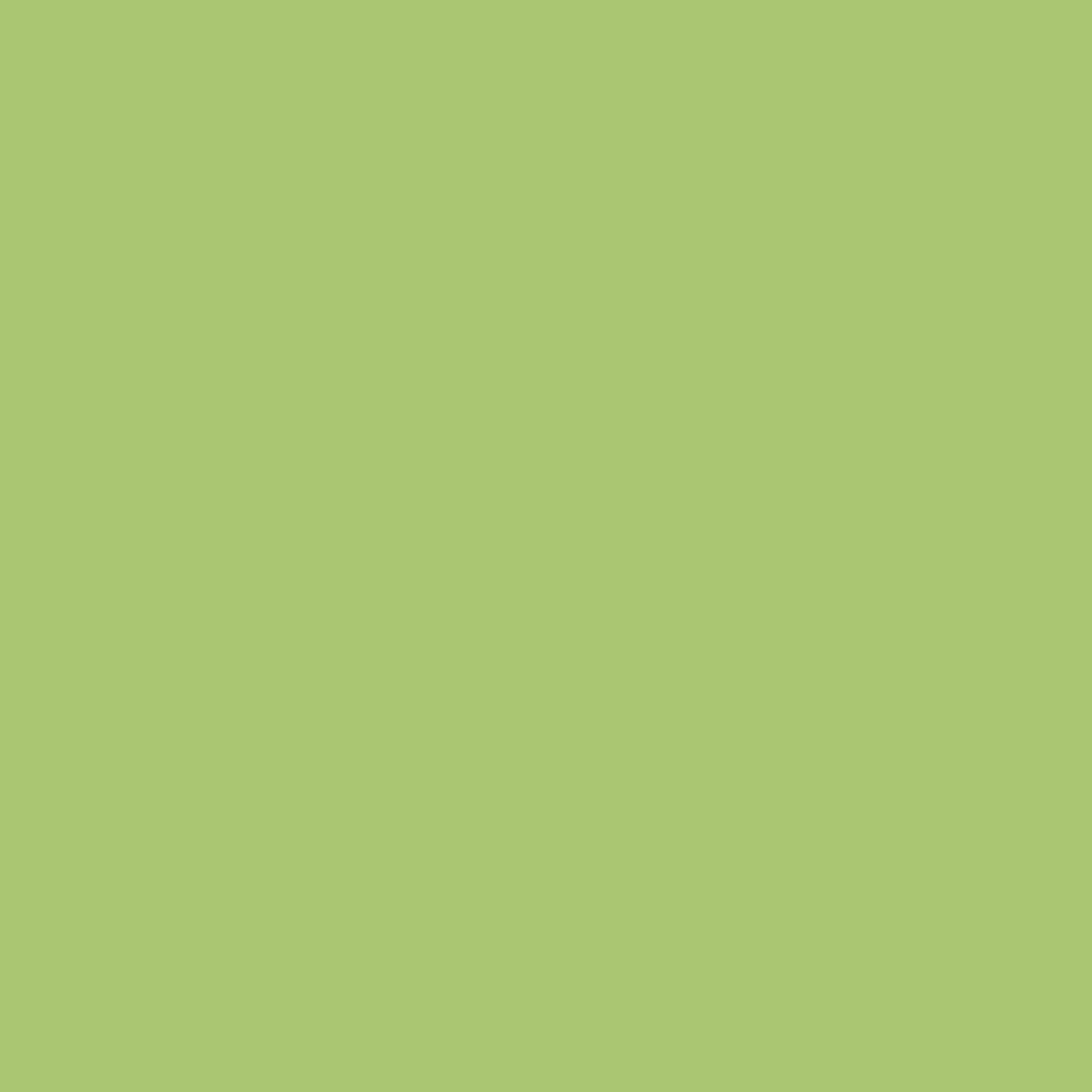 Stem Green 2029-40 Benjamin Moore paint colour at Colour Land