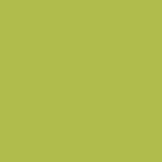 Limeade CSP-865 Benjamin Moore paint colour at Colour Land
