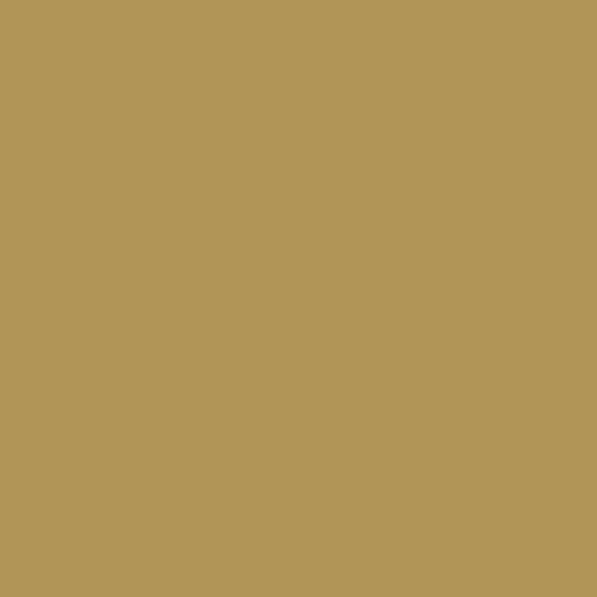 Acorn Squash 258 Benjamin Moore paint colour at Colour Land