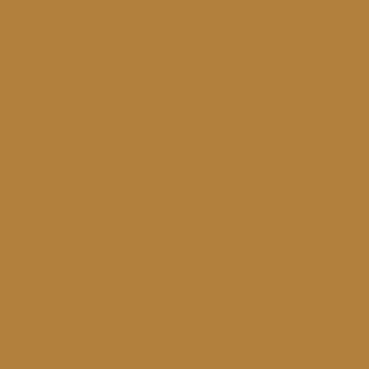 Caramel Corn 2160-10 Benjamin Moore paint colour at Colour Land