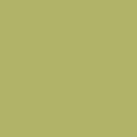 Parrot Green CW-465 Benjamin Moore paint colour at Colour Land